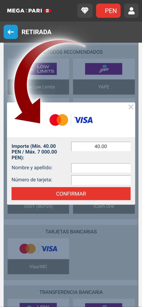 Ingrese el monto y complete la información restante para completar la transacción en Megapari.